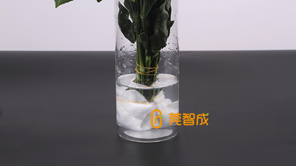 鮮花怎么保水？教你一個(gè)便捷招