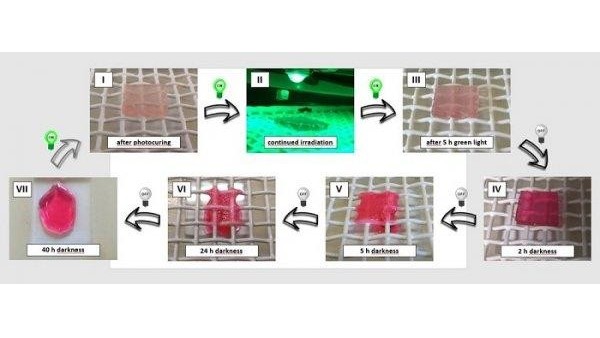 科學(xué)家研制動態(tài)可重新編程材料：光照變硬 暗時變軟
