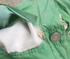 衣服剖面圖