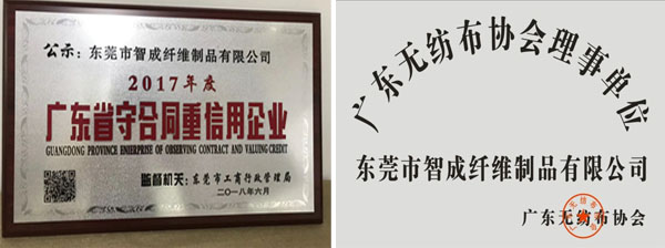 智成榮譽(yù)證書