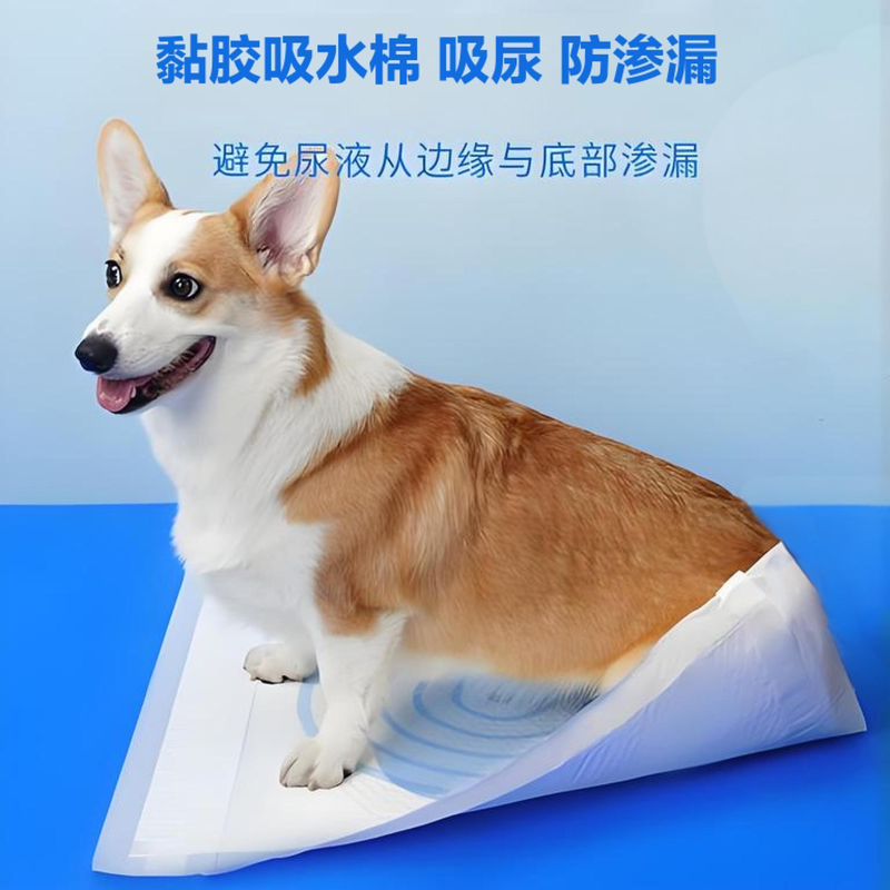 圖片1