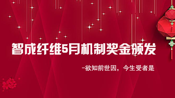 智成纖維5月業(yè)績有新高-欲知前世因，今生受者是